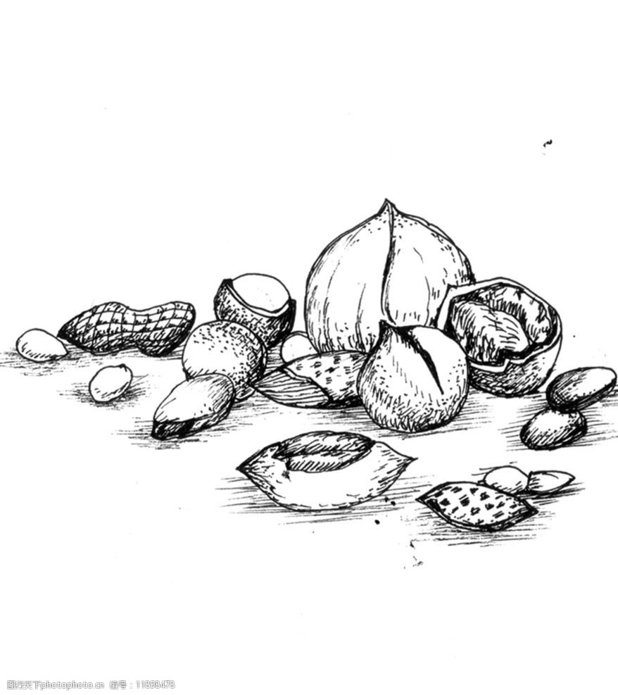 手繪堅果圖片