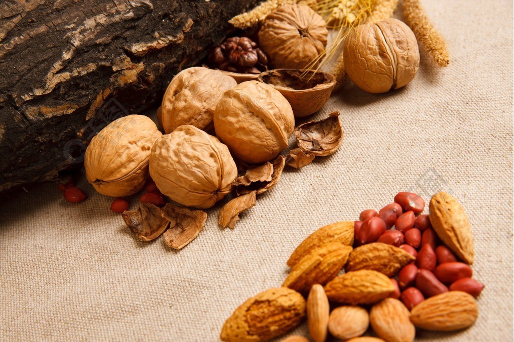 高清堅果世界 免費下載5616像素JPG實拍圖集