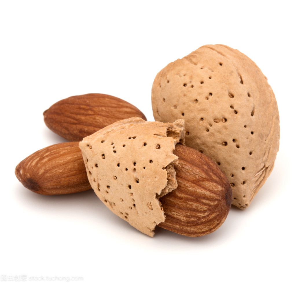 堅(jiān)果的守護(hù)者 從杏仁看堅(jiān)果殼與外殼的多重價(jià)值