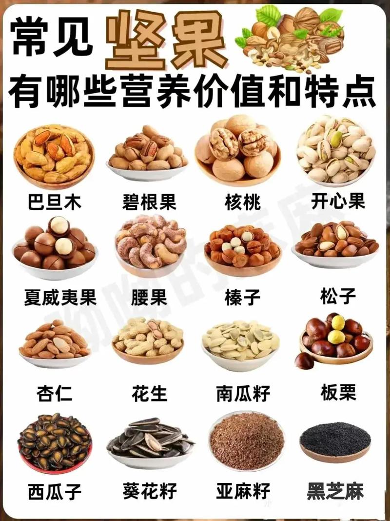 常見(jiàn)堅(jiān)果的營(yíng)養(yǎng)寶庫(kù) 揭秘小小堅(jiān)果的健康密碼